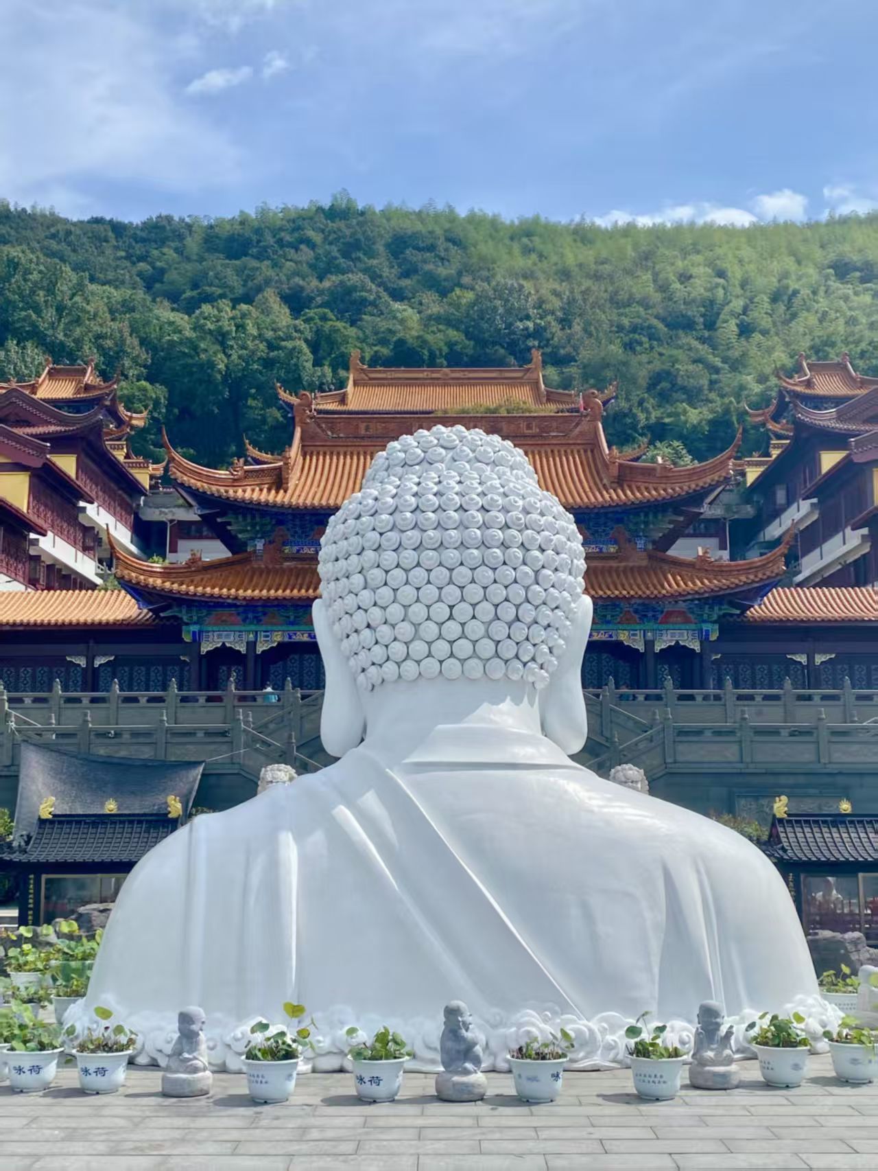 运动健身场景，公园晨跑，两人一起锻炼身体，健康生活方式氛围