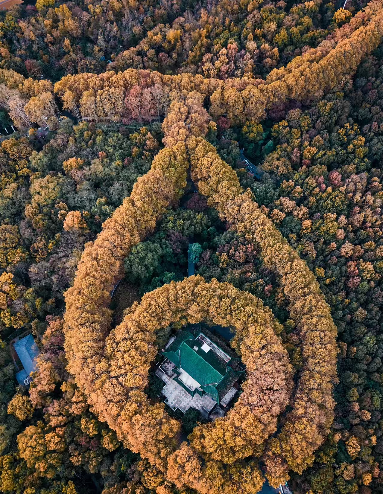 节日庆祝场景，新年倒计时时刻，烟花绽放背景，喜庆节日氛围